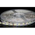 DC12V/24V Flexible RGB LED Strip Light (DT-RDTRGB-001)